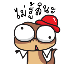 ลายที่ 23