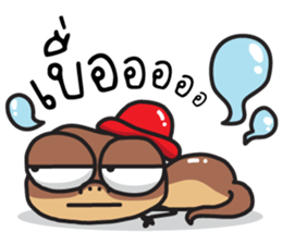 ลายที่ 25