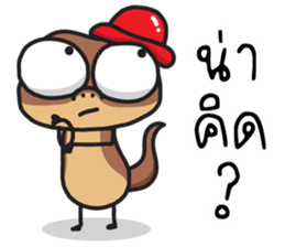 ลายที่ 43