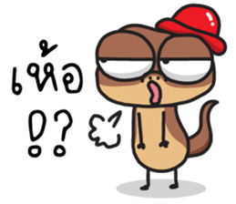 ลายที่ 77