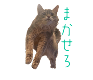 825875953