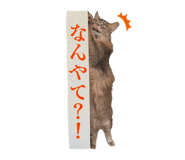 825875965