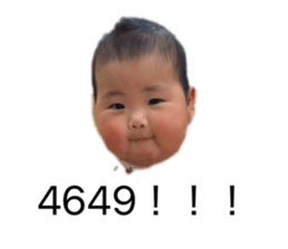 825876517