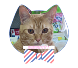 825900446