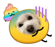 825907582