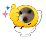 825907585