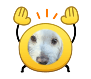 825907588