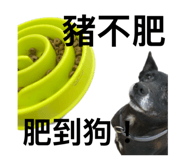 825909935