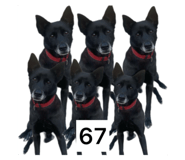 825909936