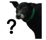 825909938