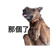 825909960