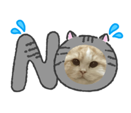 825916513