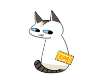 825916586