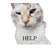 825916595