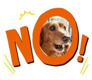 825916879