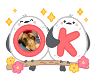 825916880