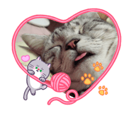 825925187