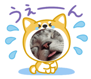 825925190