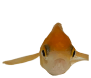 825960014