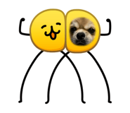 825986608
