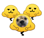 825986615