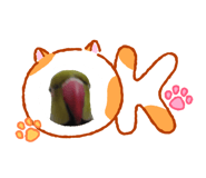 826031604