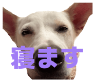 826034384