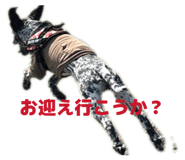 826034385