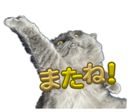 826035106