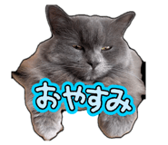 826035116