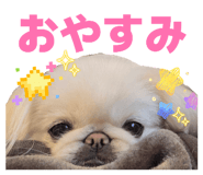 826035485