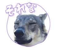 826040765