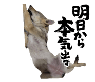 826040771