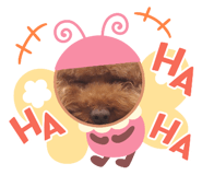 826055160