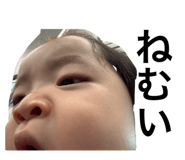 826063068