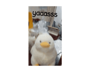 826067786