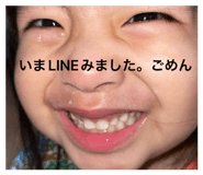 826070377