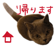 826073922