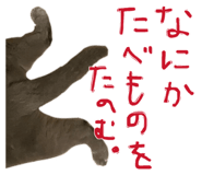 826073923