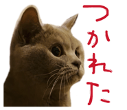 826073927