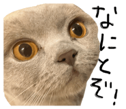 826073928