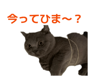826075710