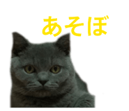 826075711