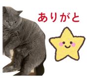 826075712