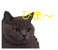 826075714
