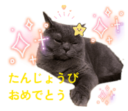 826075719