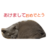 826075720