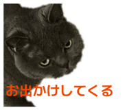 826075722