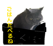 826075723