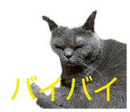 826075730